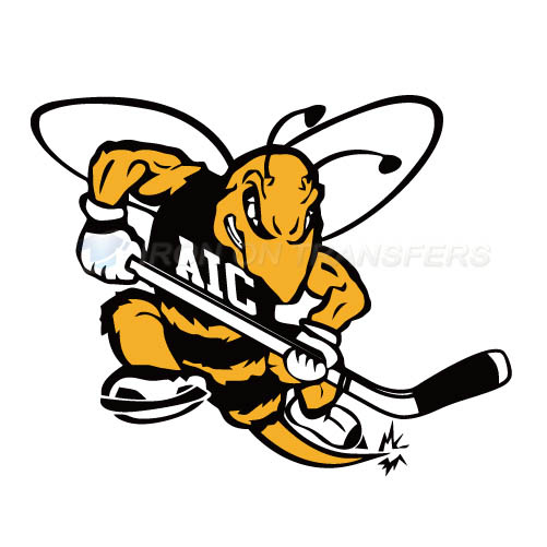 AIC Yellow Jackets 2009-Pres Alternate Logo T-shirts Iron On Tra - Click Image to Close